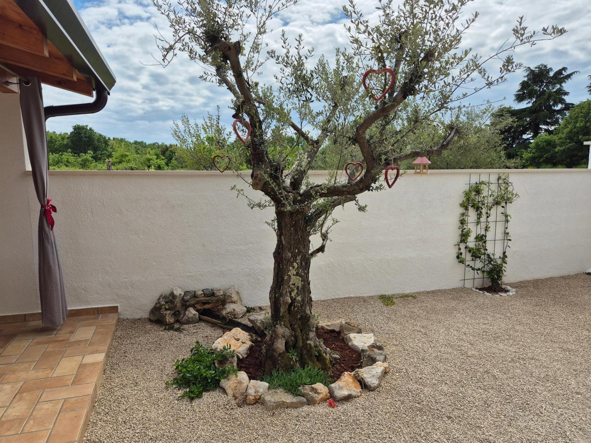 Apartment Vinja Porec - Privat Garden - Whirlpool מראה חיצוני תמונה